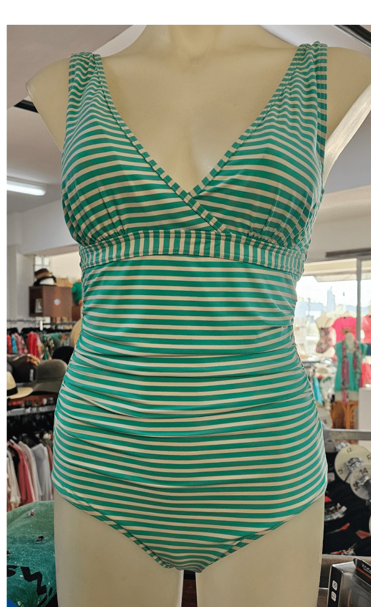 Niptuck Torino Stripe One Piece.