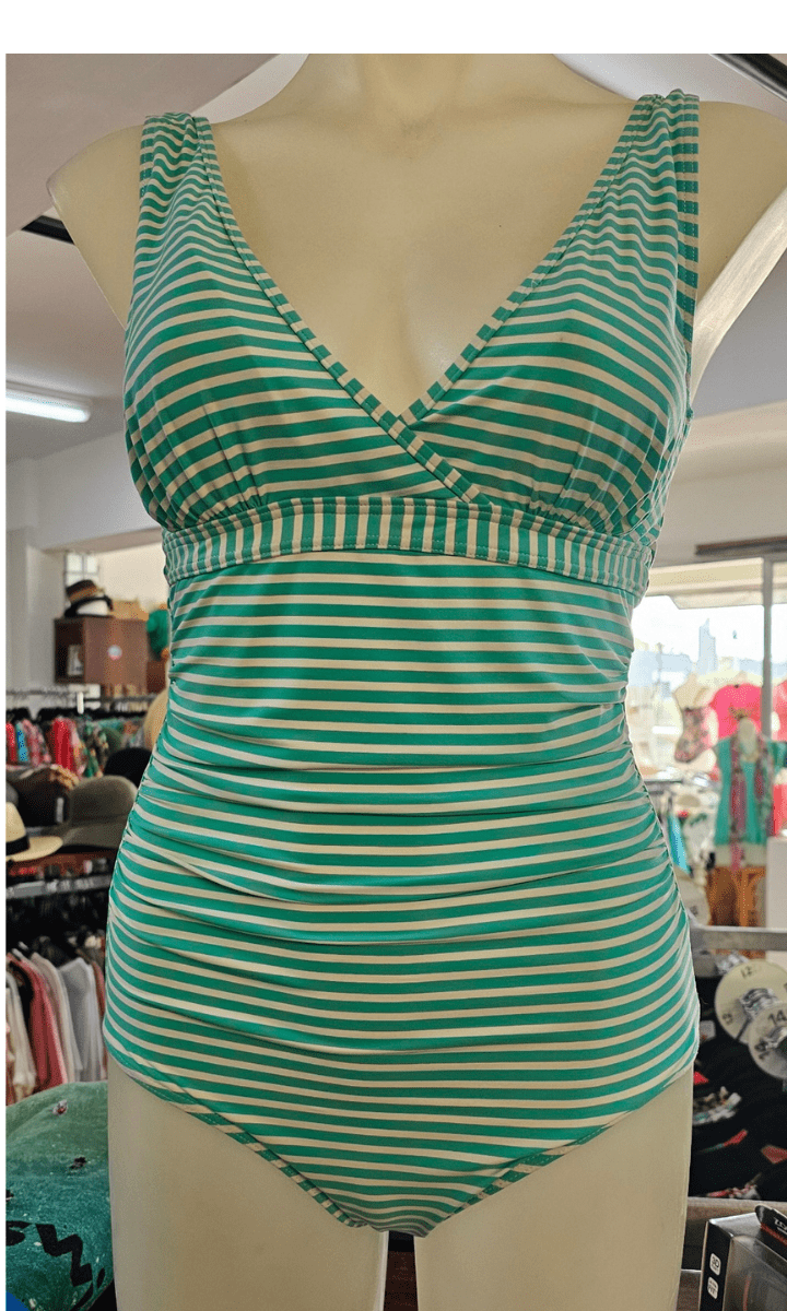 Niptuck Torino Stripe One Piece.