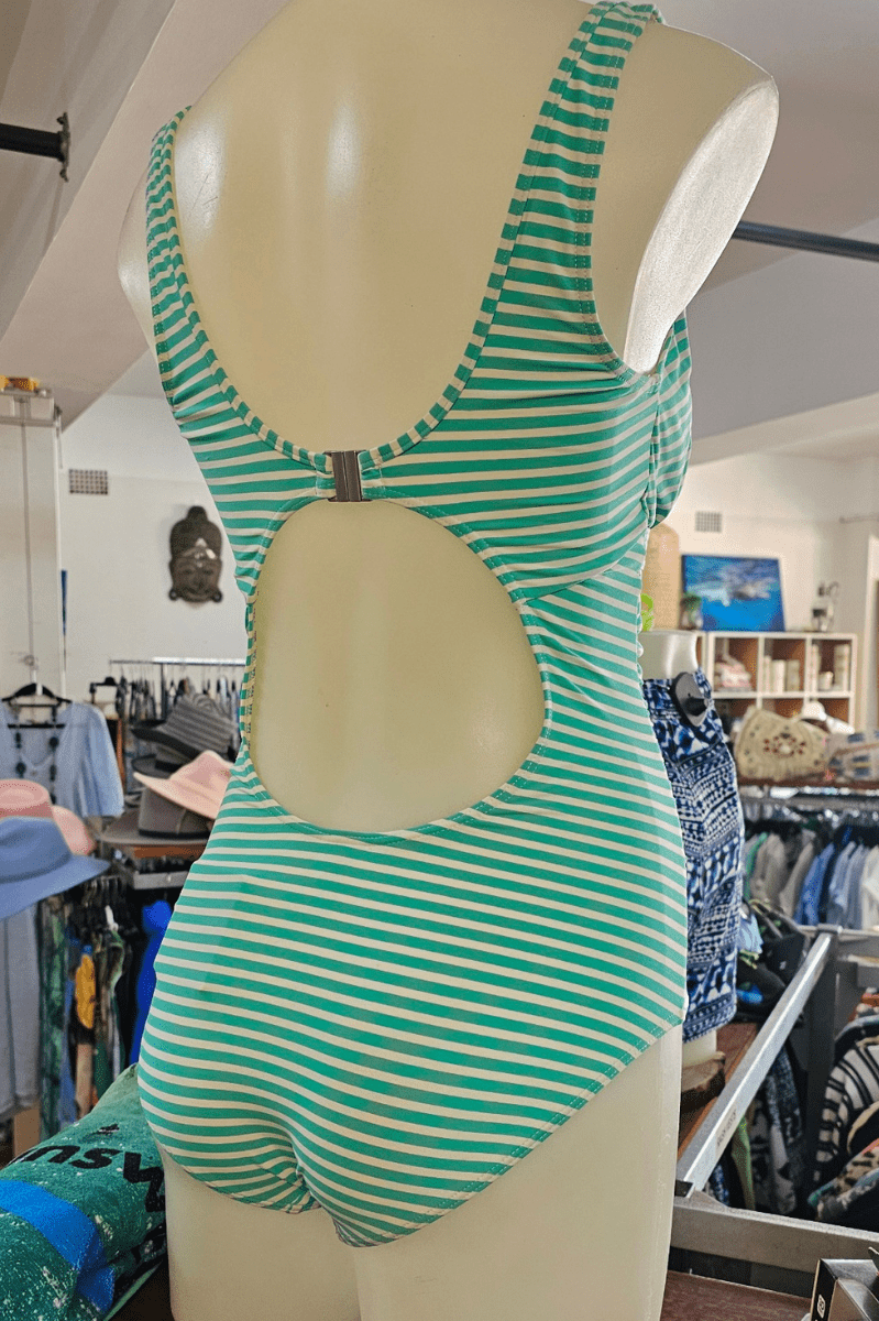 Niptuck Torino Stripe One Piece.