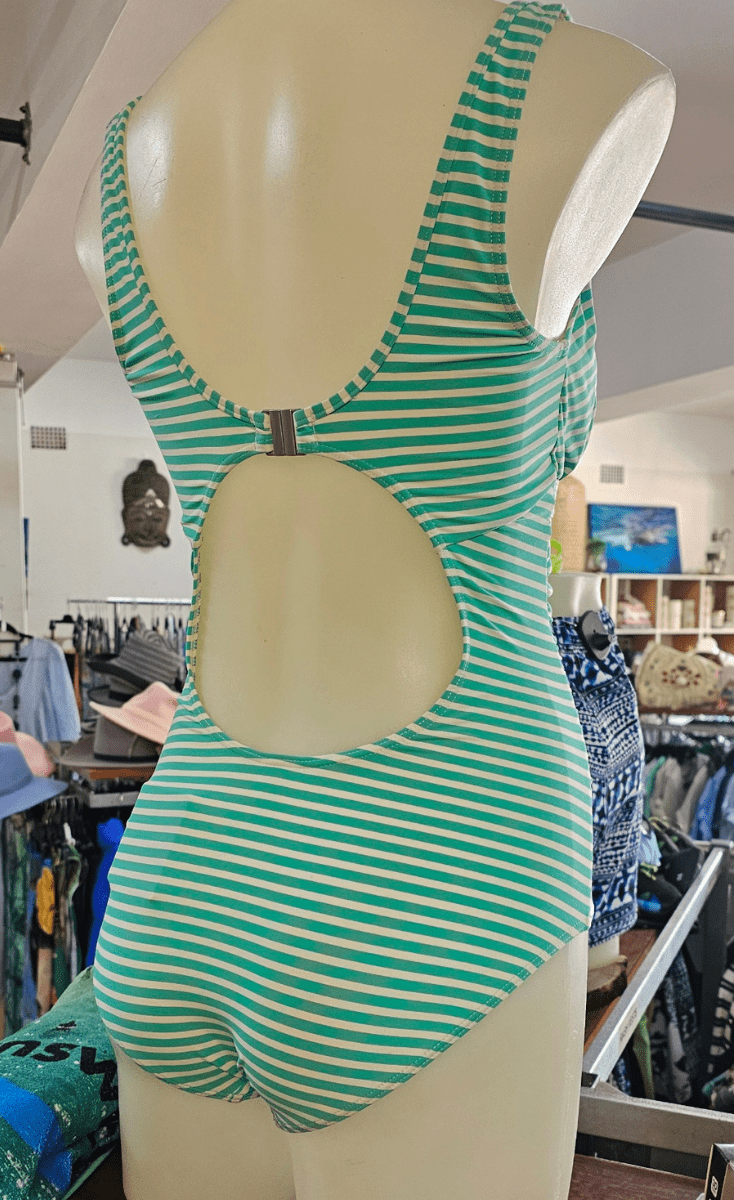 Niptuck Torino Stripe One Piece.