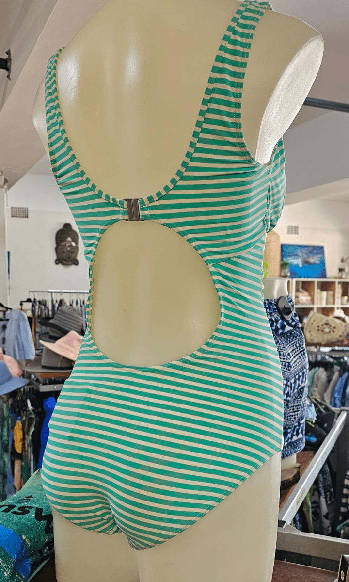 Niptuck Torino Stripe One Piece.