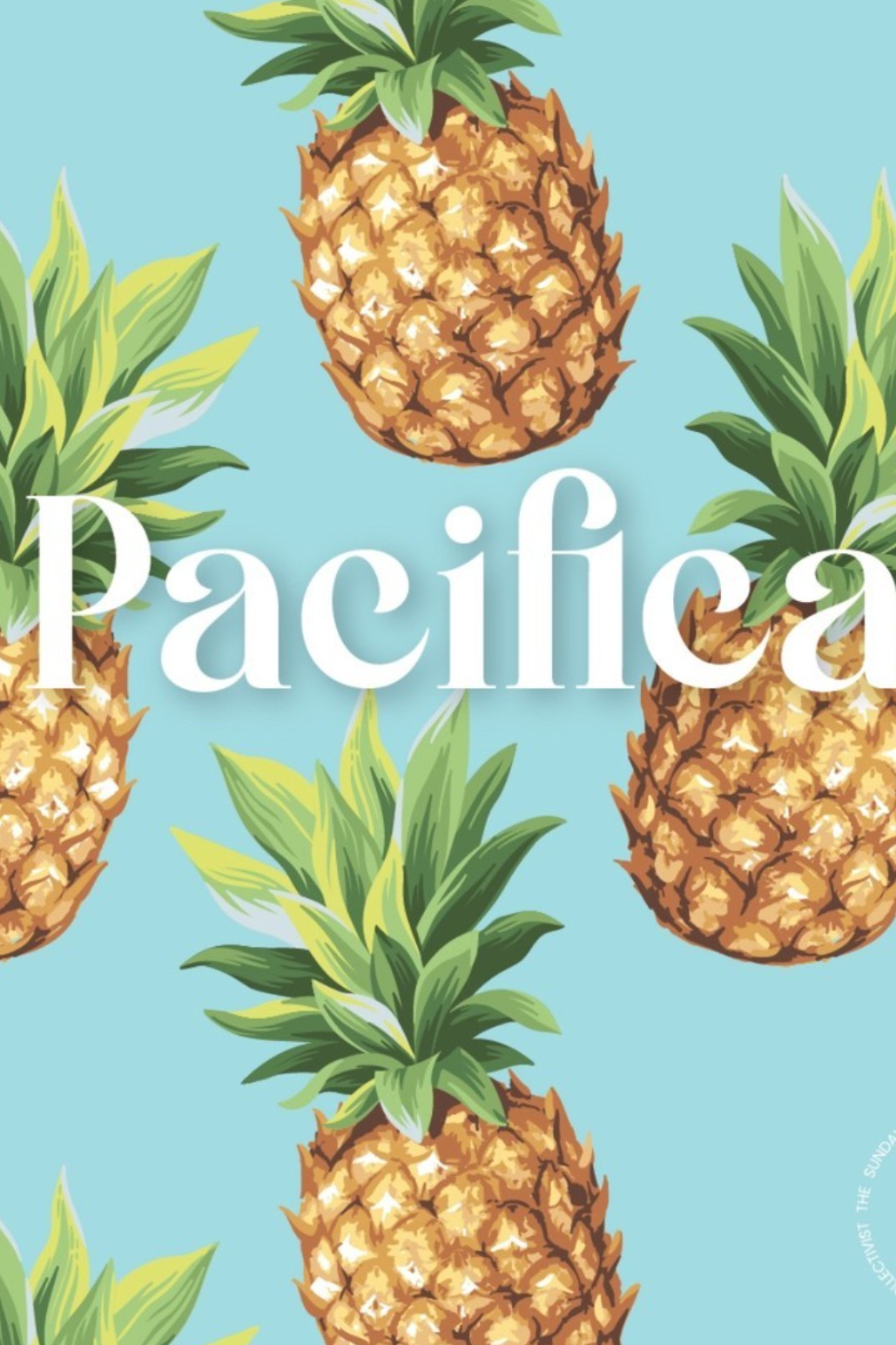 Sunday Collectivist Beach Umbrellas - Made from Recycled Plastic Pacifico.