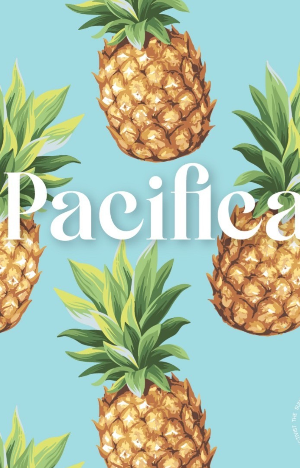 Sunday Collectivist Beach Umbrellas - Made from Recycled Plastic Pacifico.