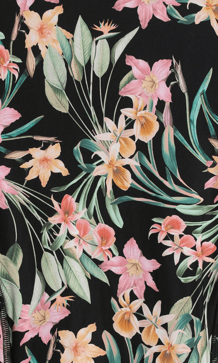 Sunseeker Camellia E/F Frill Minimiser One Piece Black.