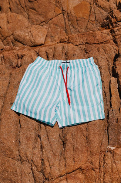 Swim Shady Mint Flare Swim Shorts.