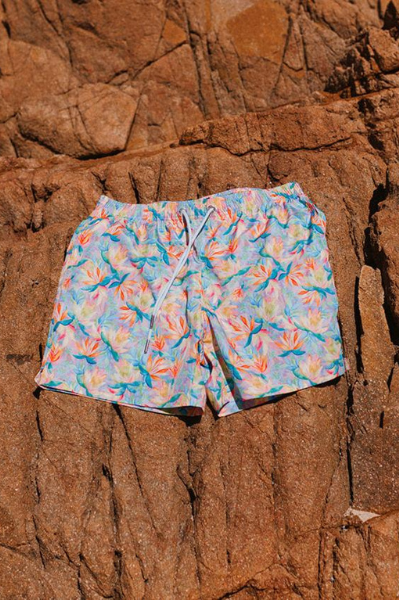 Swim Shady Sanctuary Swim Shorts.