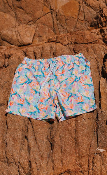 Swim Shady Sanctuary Swim Shorts.