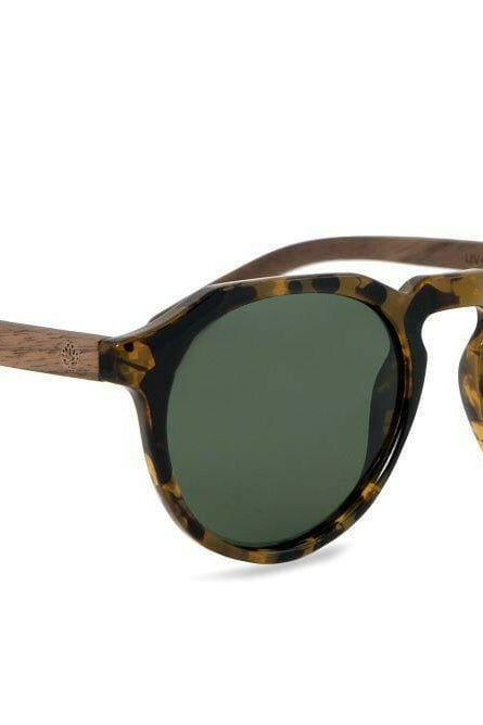 Chanj Sunglasses Tortoise Sustainable Sunglasses Handcrafted FSC Wood.