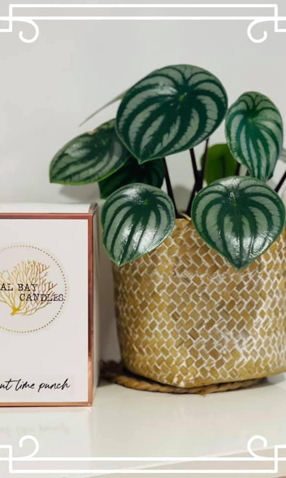 Coral Bay Candles Hand Poured 100% Soy Candles.