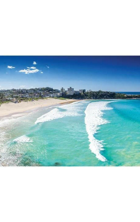 Destination Label Freshwater Beach - Freshwater Swell.