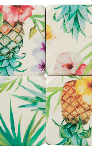 COS291 Isola DWBH Set of 4 Coasters.