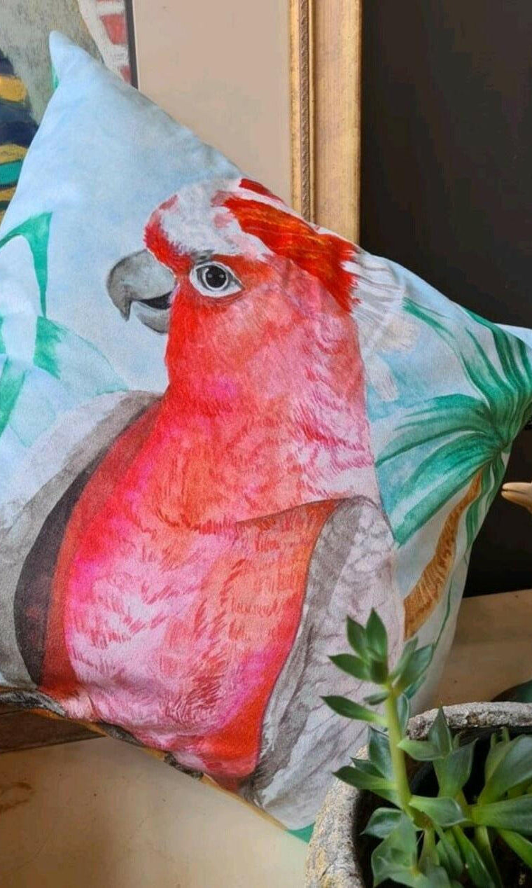 Major Mitchell Aqua Cushion Cover 45 x -45cm Soft Plush Double Printed.