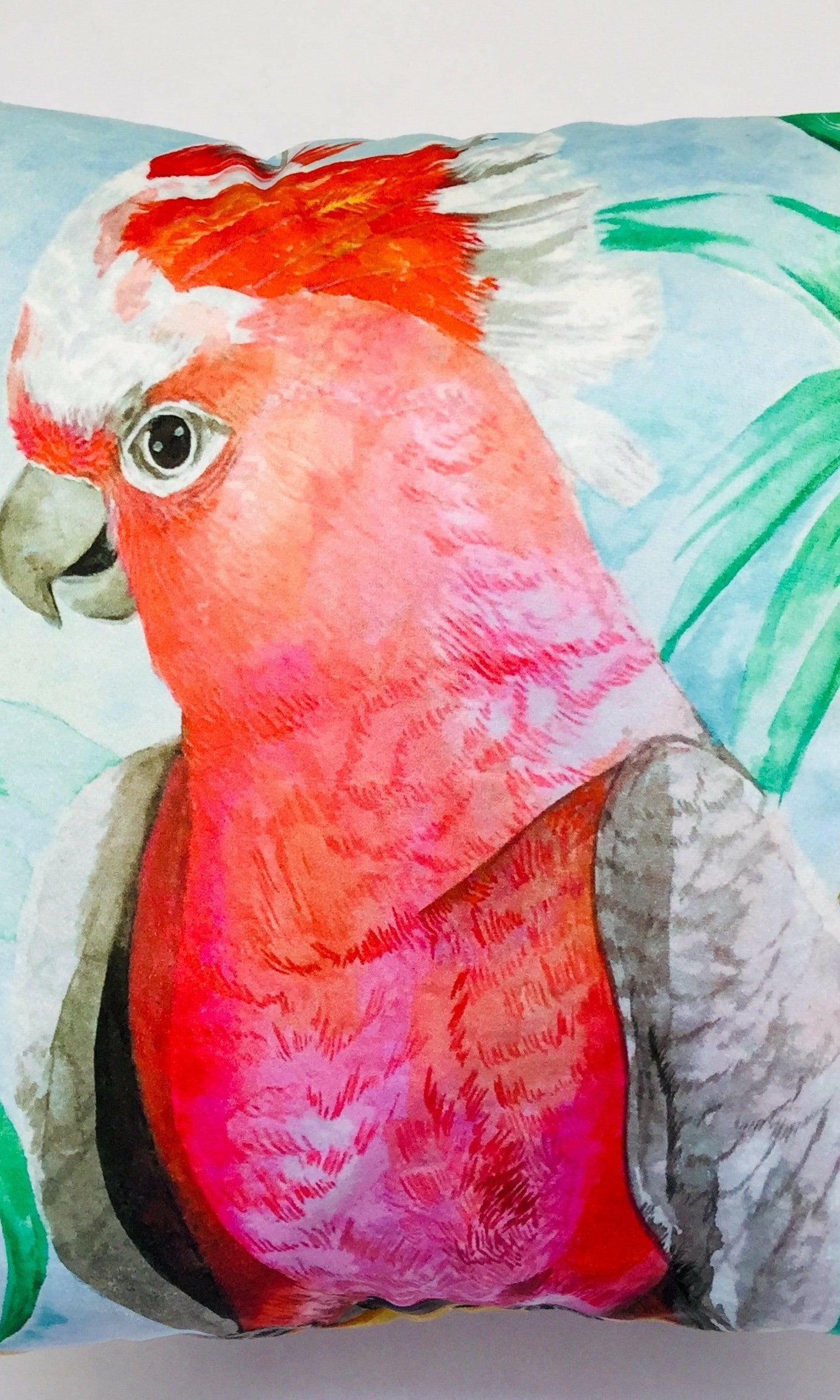 Major Mitchell Aqua Cushion Cover 45 x -45cm Soft Plush Double Printed.