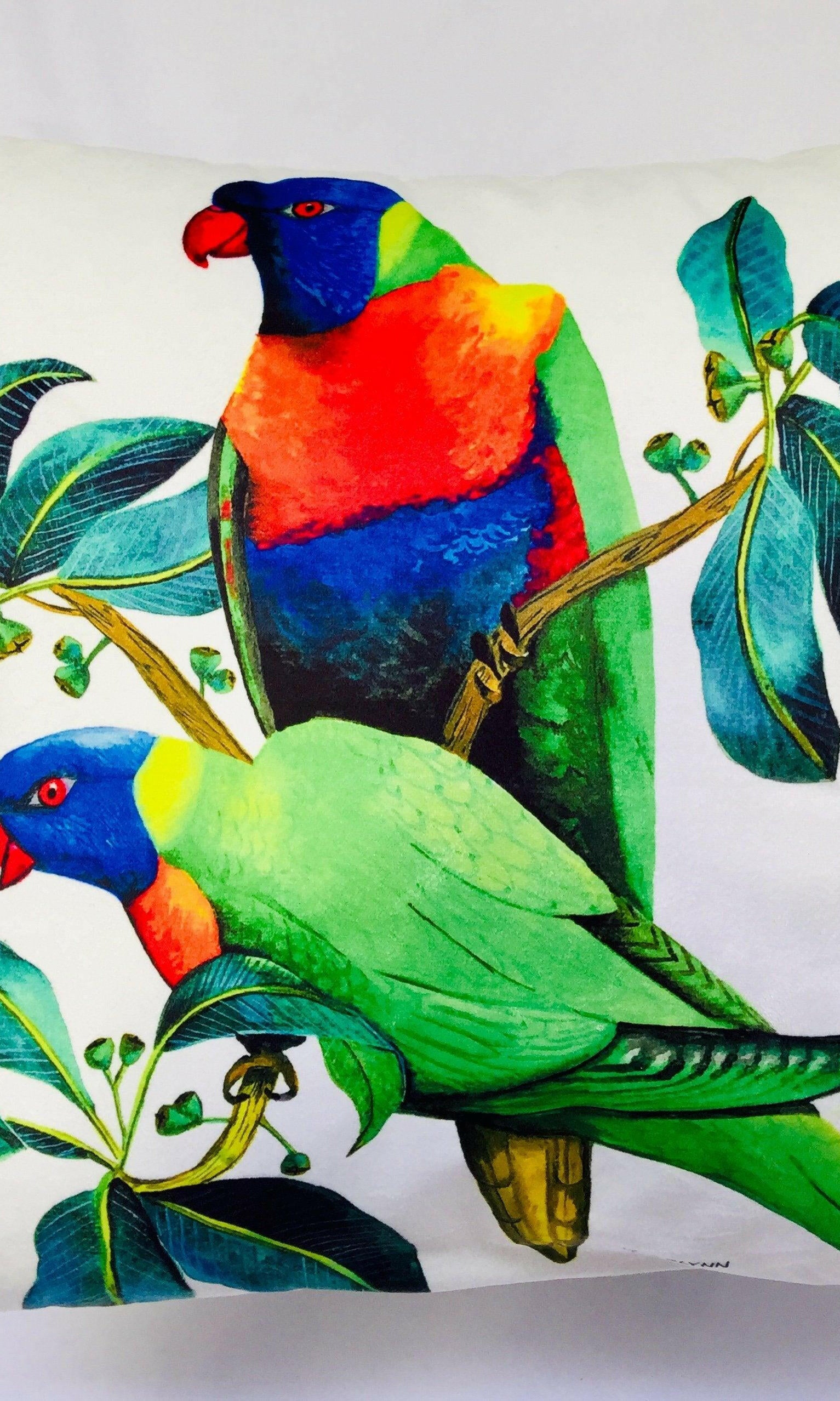 Rainbow Lorikeet Cushion Cover 45cm.