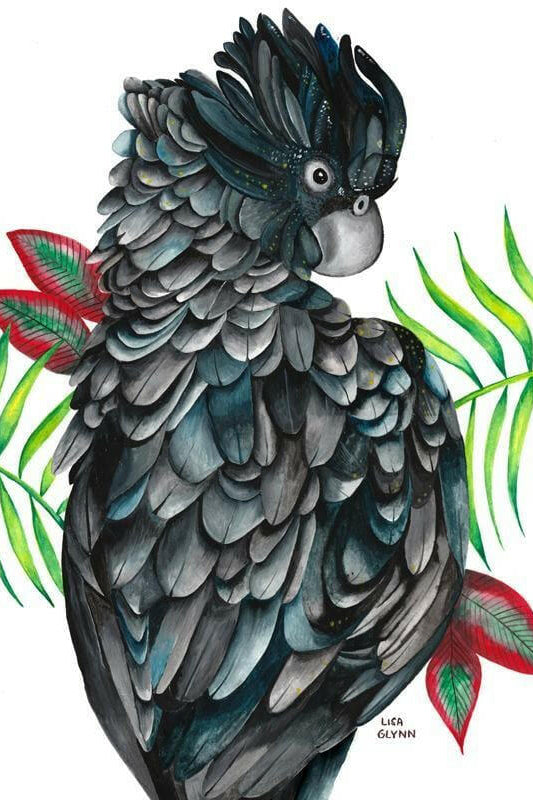 Black Cockatoo Tea Towel 100% Cotton.