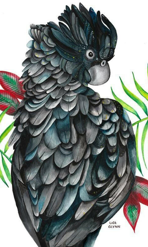 Black Cockatoo Tea Towel 100% Cotton.
