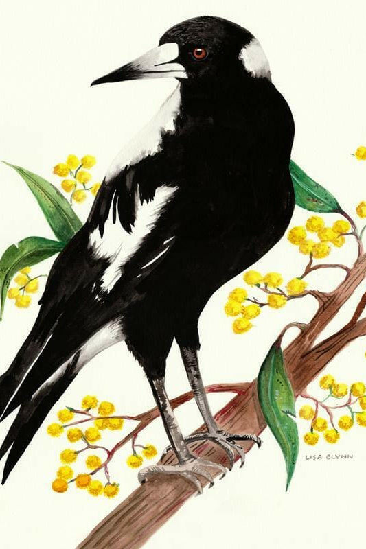 Magpie Tea Towel 100% Cotton.