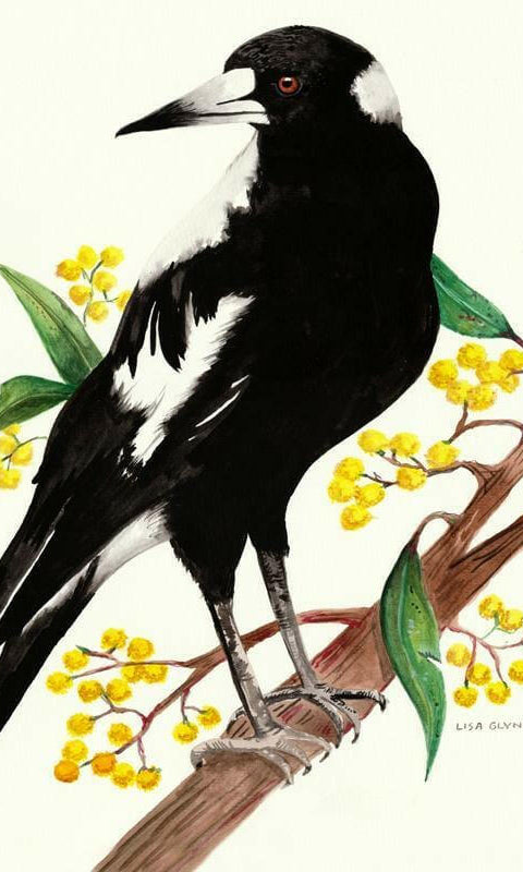 Magpie Tea Towel 100% Cotton.