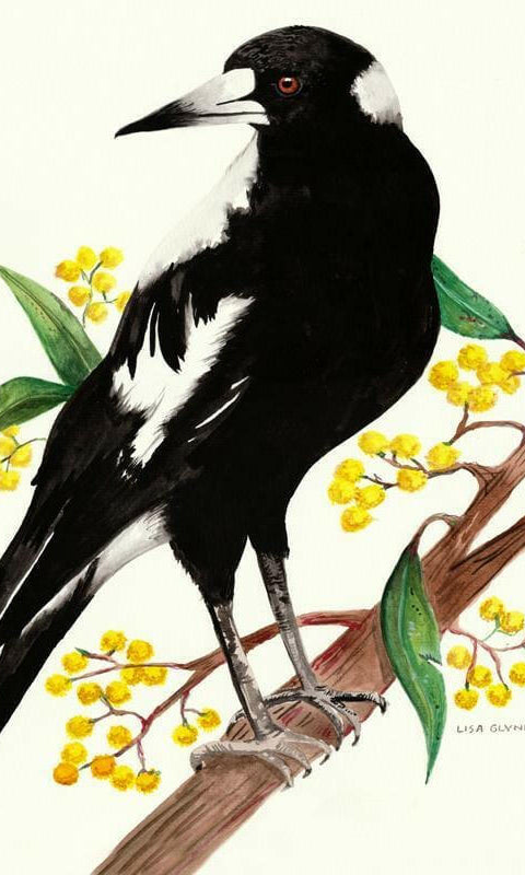 Magpie Tea Towel 100% Cotton.
