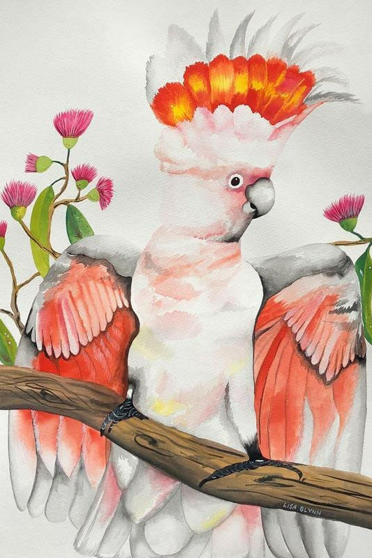 Major Mitchell Cockatoo Australian Souvenir Tea Towels.