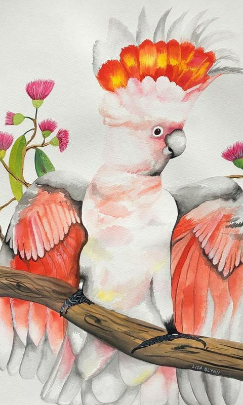 Major Mitchell Cockatoo Australian Souvenir Tea Towels.