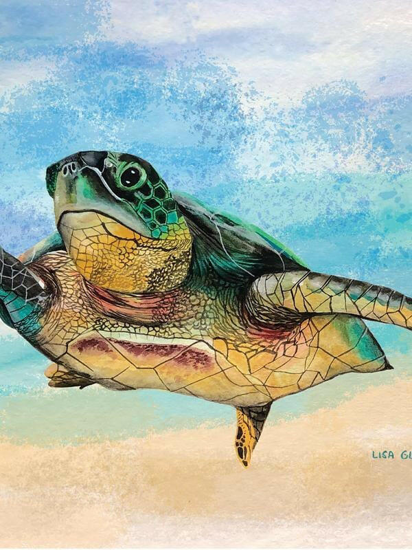 Australian Green Sea Turtle Tea Towel.