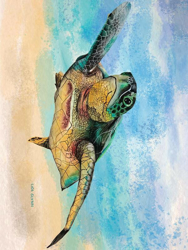 Australian Green Sea Turtle Tea Towel.