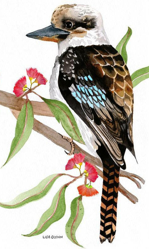 Kookaburra Tea Towel 100% Cotton Designed in Australia.