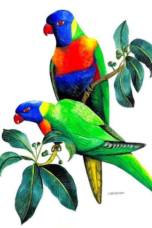 Rainbow Lorikeet Tea Towel - Australian Souvenir Tea Towel.