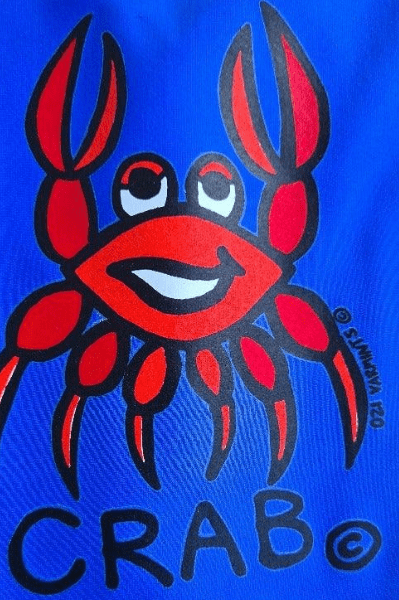 Ozi Varmints Girls Zip Back Cat Suit - Ocean Sun.