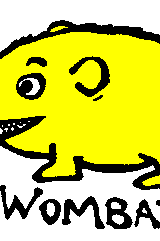 Ozi Varmints 2022 White Socks Koala Design, childrens socks, soxs, kids socks, sourvenir.