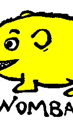 Ozi Varmints 2022 White Socks Koala Design, childrens socks, soxs, kids socks, sourvenir.