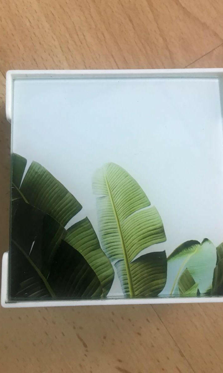 Rayell Ceramic Coaster Set of 4 Palm Leaf Design.