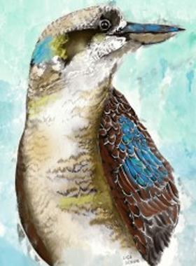 Tea Towels 100% Cotton Australian Birds & Turtles.