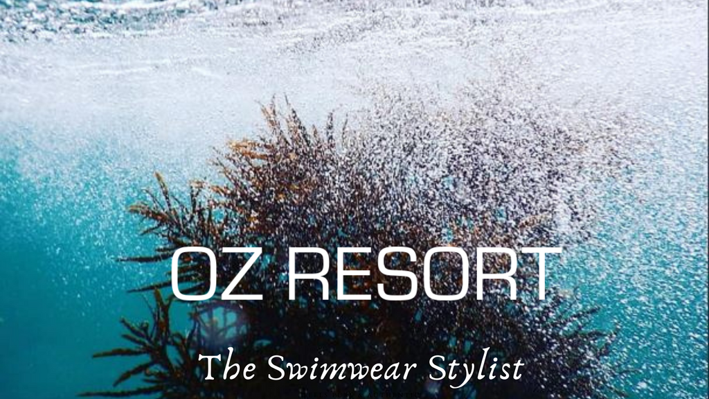 ozresort_swimwear_specialist_shop_our catalogue_best swimwear_in_sydney_ozresort