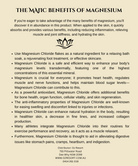 Ocean Lovers Magnesium Chloride Sulphate - 500gm.