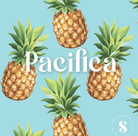 Sunday Collectivist Beach Umbrellas - Made from Recycled Plastic - Lush.