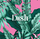 Sunday Collectivist Beach Umbrellas - Made from Recycled Plastic - Lush.