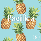 Sunday Collective Cooler Bags.