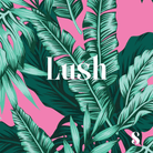 Sunday Collective Cooler Bags.