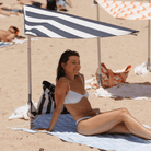 Swim Shady Fresh Beach Shade.