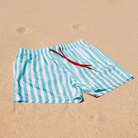 Swim Shady Mint Flare Swim Shorts.