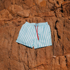 Swim Shady Mint Flare Swim Shorts.