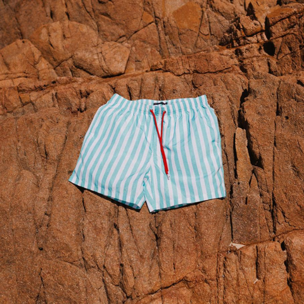 Swim Shady Mint Flare Swim Shorts.