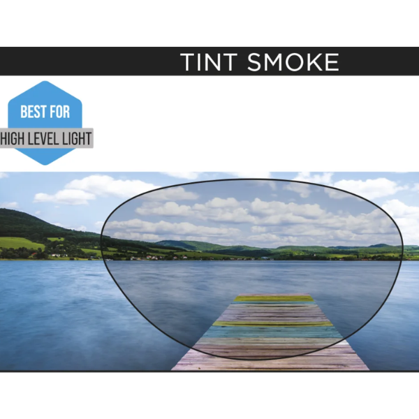 Zoggs Original 3D Flex Technology Reactor Smoke Lens Cobalt X.