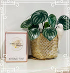 Coral Bay Candles Hand Poured 100% Soy Candles.