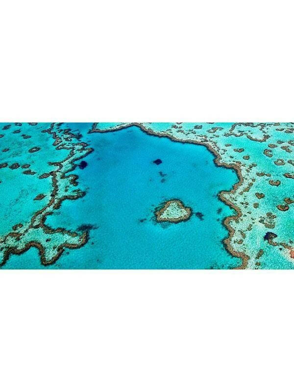 Destination Towels - Reef Love sand free beach towel.