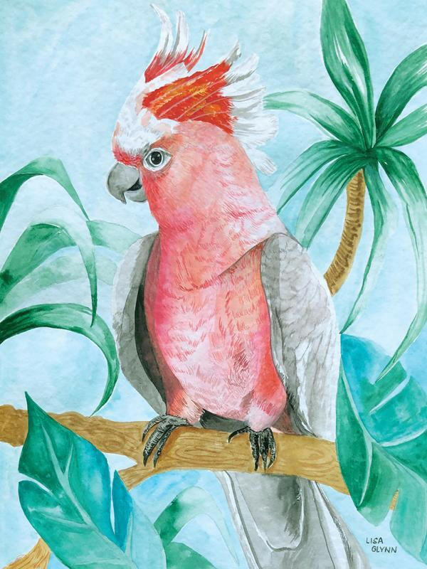 Major Mitchell Aqua Tea Towel 100% Cotton.