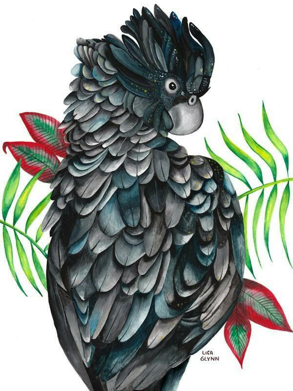 Black Cockatoo Tea Towel 100% Cotton.
