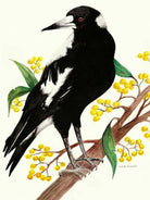 Magpie Tea Towel 100% Cotton.